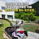 한울펫 | [원주 애견동반 카페] 진드기 걱정 없이 맘껏 뛰놀다 온 대형 잔디밭& 계곡 힐링 카페 '도즈오프' 찐후기