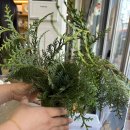 용오름농촌체험휴양마을 이미지