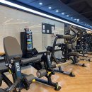 브라운 휘트니스 이미지