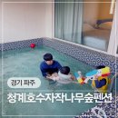 청계호수 자작나무숲 펜션 | 경기 포천풀빌라 숙소 수영장 있는 청계호수 자작나무숲 펜션 풀빌라 C동