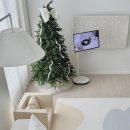 H-021 | 유아매트 아소방 시그니처 클로드 후기, 아기있는집 인테리어