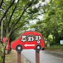 장령산자연휴양림 | 충북 옥천 가볼만한곳 / 옥천 장령산자연휴양림&amp;숲속동굴 후기