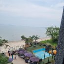 트래블지 이미지