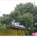 평강주유소 이미지