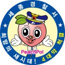 세종조치원지구대 이미지