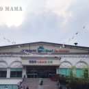 진양호캐리비안워터파크 이미지