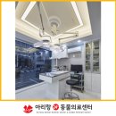 도시 강아지 이미지