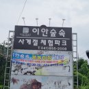 이안경금산점 | 공주 이안숲속 수영장, 아이들과 여름을 제대로 즐긴 하루