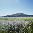 무릉소운 이미지