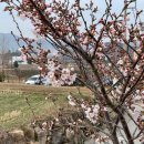 용천수캠핑장 이미지