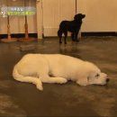 종일농장 이미지