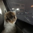 at the Moment CAFE 이미지