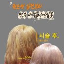 도그살롱올치 | 전주 미용실] 애쉬핑크 한 달 후 ➡️ 애쉬바이올렛 컬러 체인지! 뿌리탈색 리얼 후기 (마벨헤어살롱)
