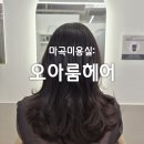 서울카클리닉 | 마곡역미용실 오아룸헤어, 극손상모 물미역 만들어준 카나토클리닉 후기