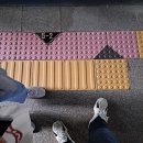 부평보건진료소 | 부평 보건소 산전검사 후기) 건강한 임신 준비하기 / 산전검사 준비사항