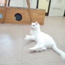 호텔하루 이미지