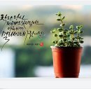 바람의말 이미지