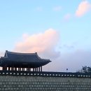 [일상] 2024.12.28 수원인의 연말 - 덴트로키친 재방문, 행궁동 카페 프레임, 드디어 진미통닭