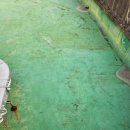 김해활천초등학교 이미지