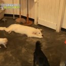 종일농장 이미지