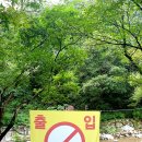 전북장수방화동자연휴양림(3) 이미지