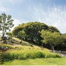 태평양목장 이미지