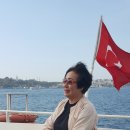 (유)코리아나항공여행사 Daum카페