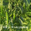 사제보건진료소 이미지