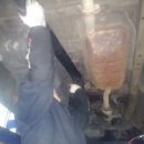 송강차사랑 이미지