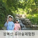 창원숲놀이터 숲체험 모래놀이 물놀이터 전부 있는 창원편백치유의숲 유아숲체험원