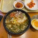 콩나물노래연습장 이미지