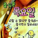 핑크벨라 이미지