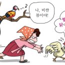 꿩대신닭 이미지