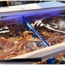 영덕목장 이미지