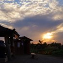 배곧생명공원 이미지