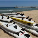 남애서핑클럽 이미지