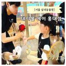크라운 그루밍 | 서울 실내 동물원 테이블에이 홍대점 주차 체험 종류 솔직 후 기