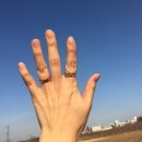 매콤돈가스와칡불냉면