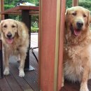 다미민박 이미지