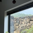 나는 SOLO 제주 2일차