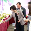 삼죽축구장 이미지