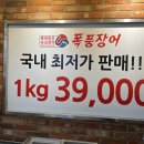 폭풍장어 이미지