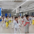 세정태권도장 이미지