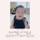 대소어린이집 | 생후 8개월 9개월 아기 발달사항/ 대소근육 언어 인지 사회성 빠른아기로 키우는 팁