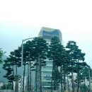 낙동강변로-4 이미지