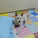 인천대화초등학교 이미지