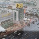 신세계공인중개사사무소 이미지