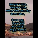 Rainbow Life 이미지