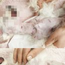 고동물병원 이미지