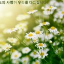 2026년 4월 30일부활 제4주간 목요일/신적 존엄성을 내려... 인간의 비참함을 선택하신 주님! 이미지